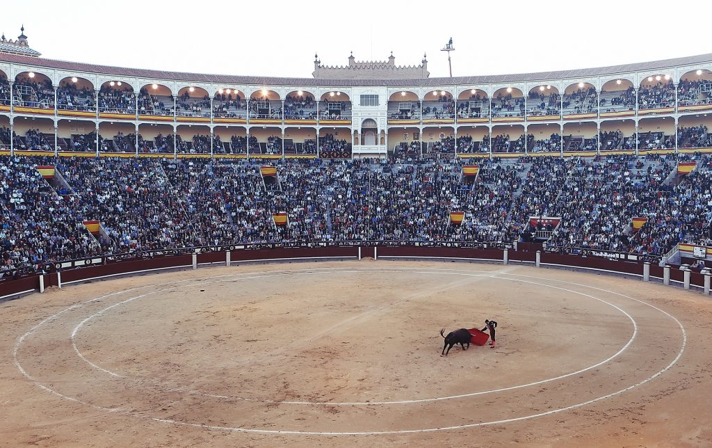 Ver los toros en Las Ventas, una experiencia inolvidable